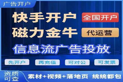 成功SEM托管案例解析